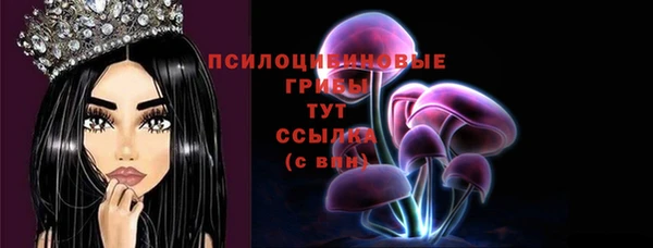 прущие крисы Алзамай