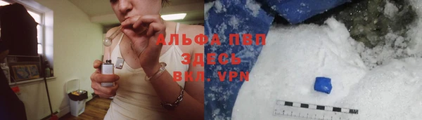 прущие крисы Алзамай