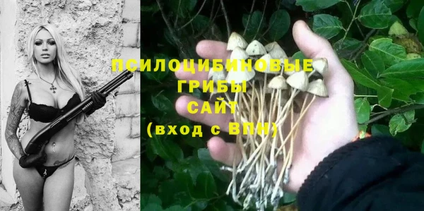 прущие крисы Алзамай