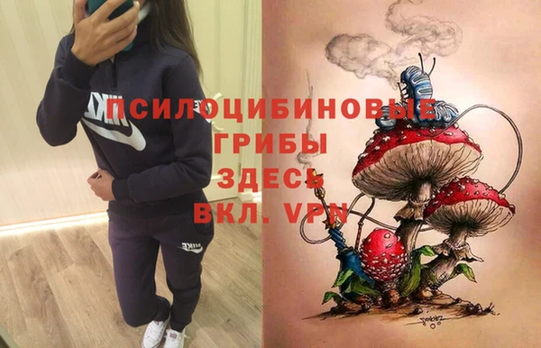 прущие крисы Алзамай