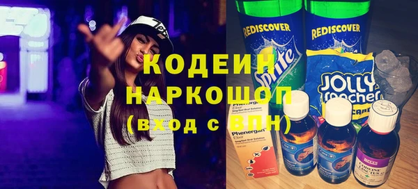 крисы Абаза