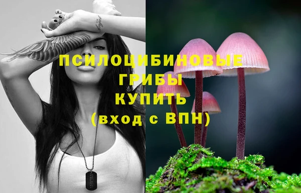 прущие крисы Алзамай